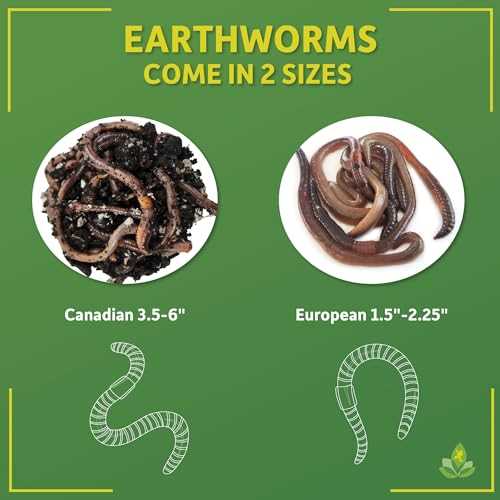 12 count Live Feed Reptile Food L166
