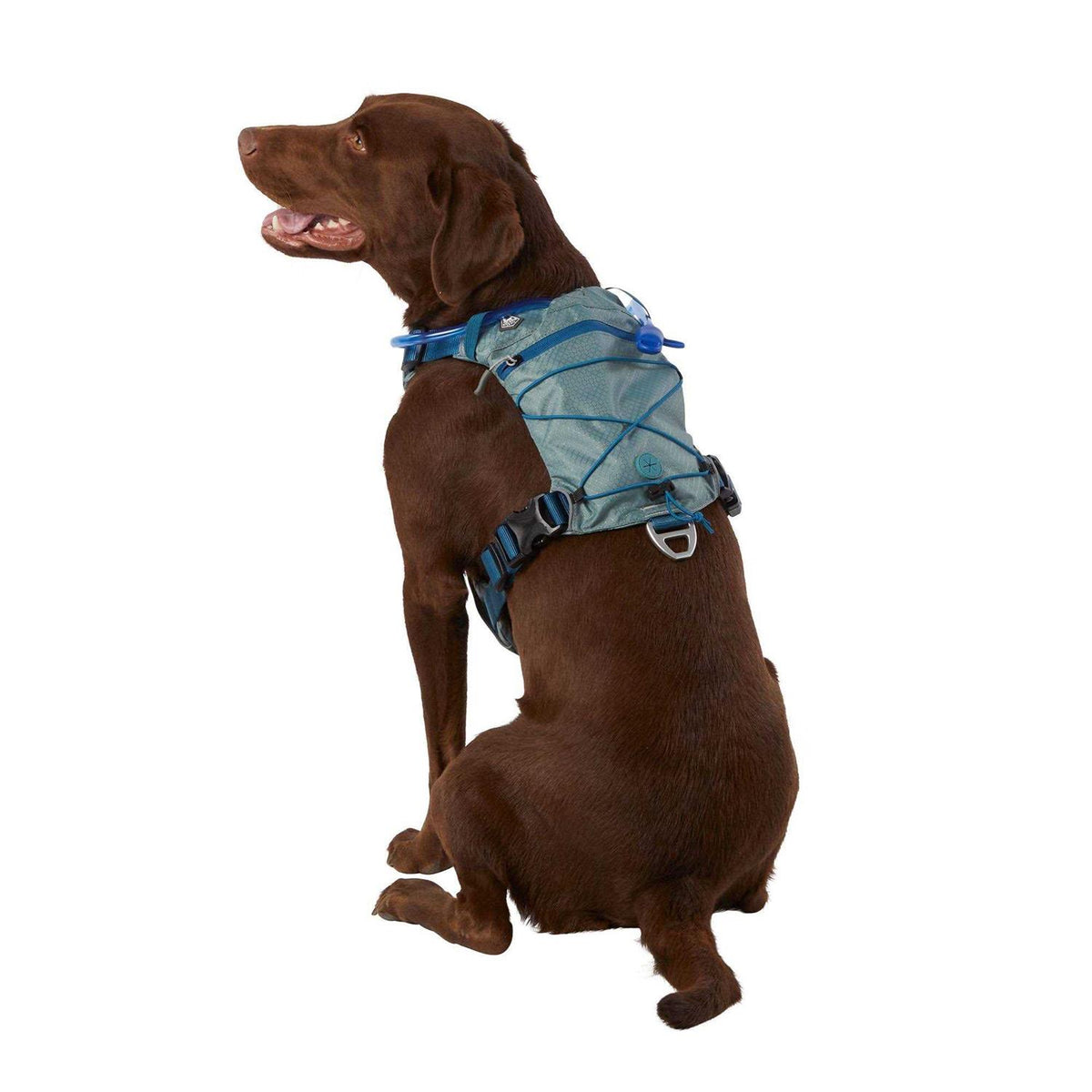 Dog Harness A735