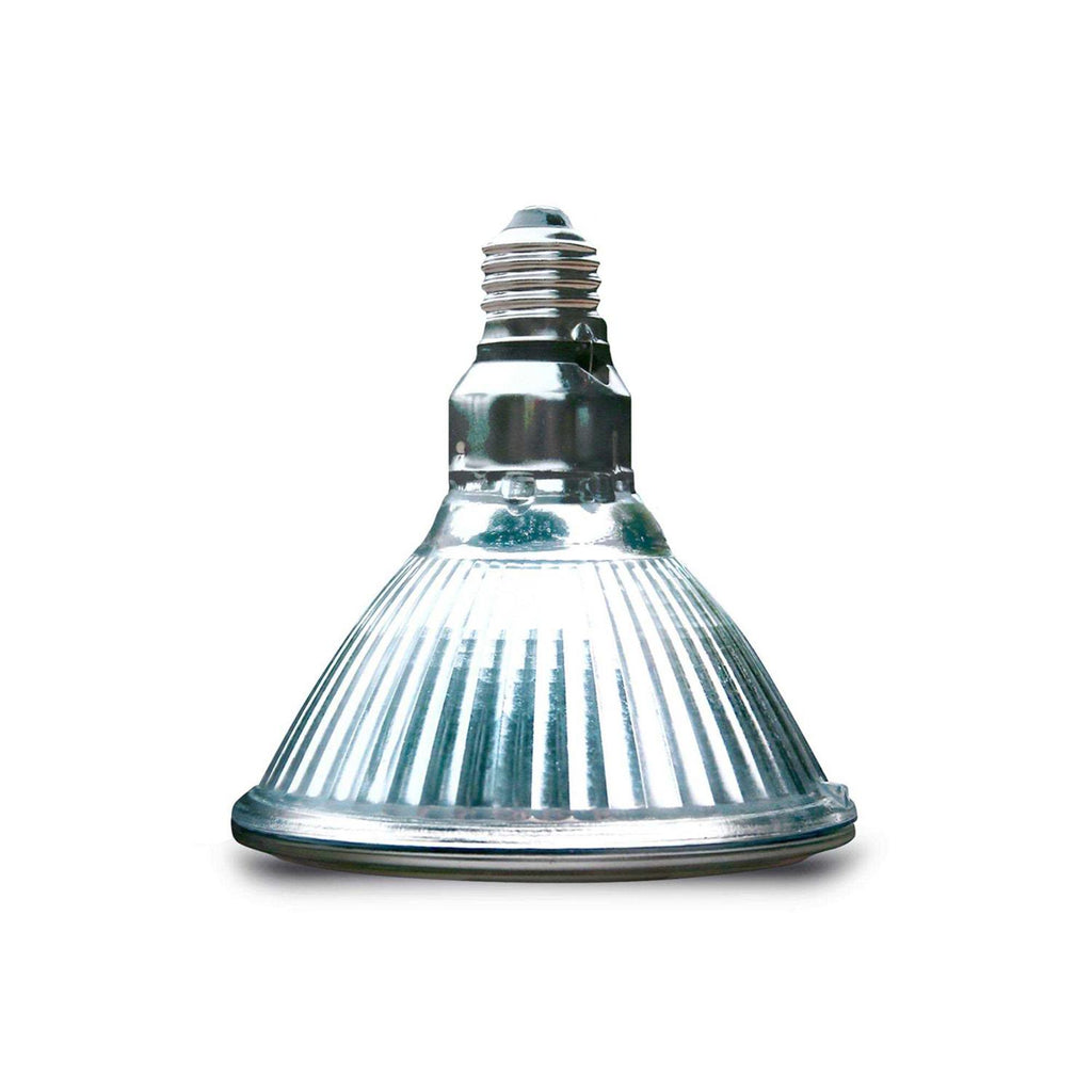 Halogen Heat Lamp R10856