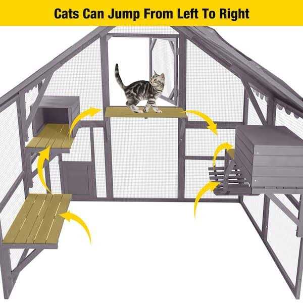 Outdoor Cat Run I4829