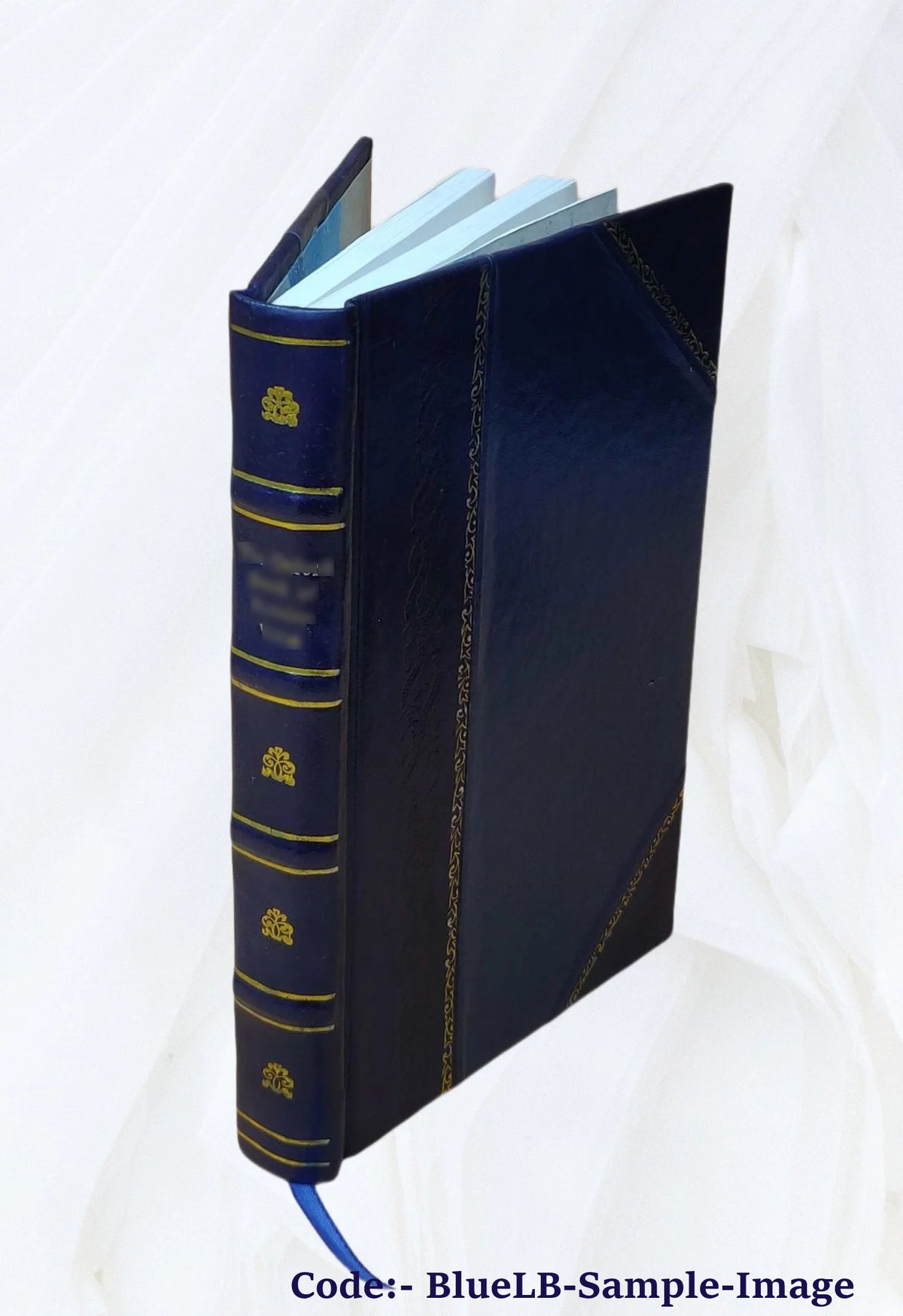 Leather Bound Book D13819