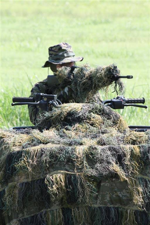 Woodland Camouflage Netting I7828