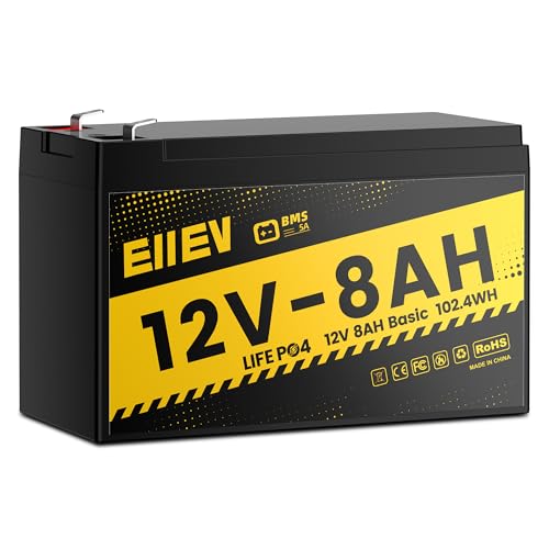 12V 100Ah LiFePO4 Battery with 100A BMS D3554