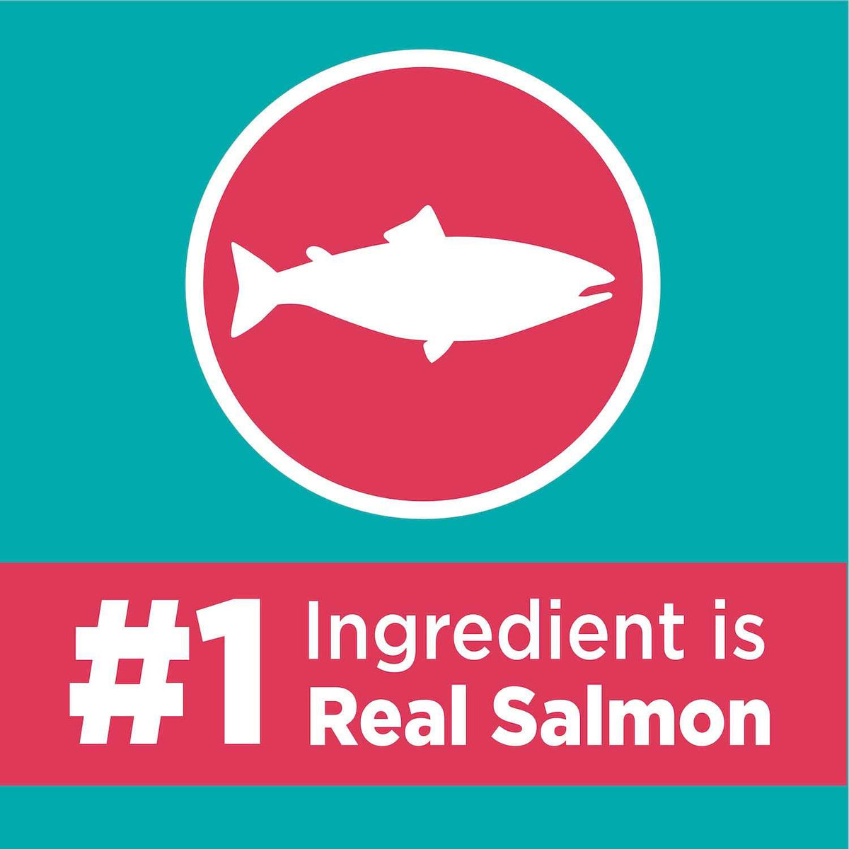 Salmon Adult Dry Cat Food G318