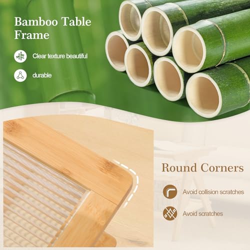 2-Tier Rattan Glass Coffee Table with Storage Shelf T97925