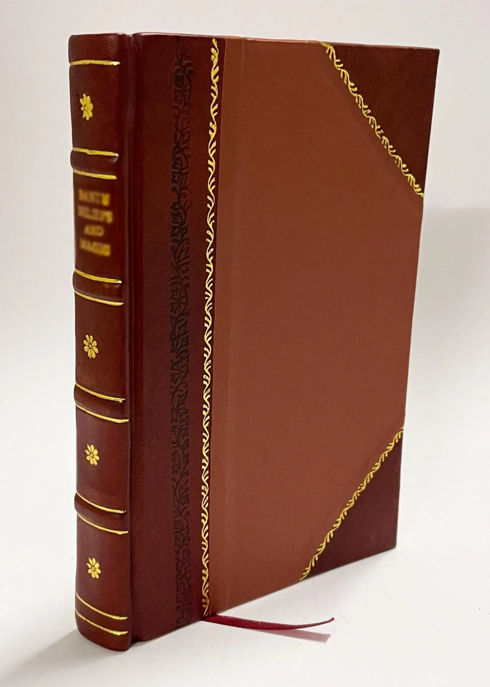 Leather Bound Book G833