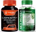 Quercetin with Bromelain Supplement - Irish Sea Moss Gummies H145