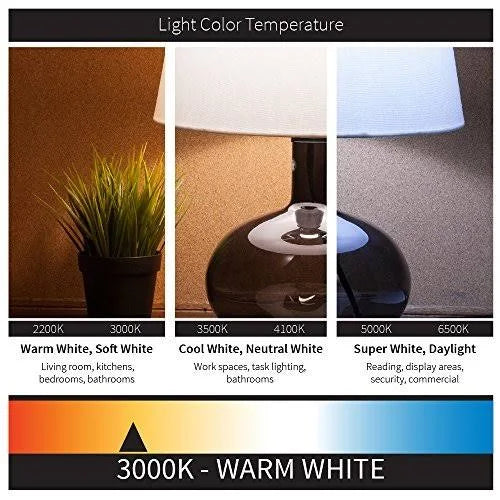 Compact Fluorescent Light Bulb S58562
