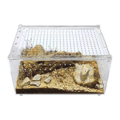 Acrylic Terrarium Q24955