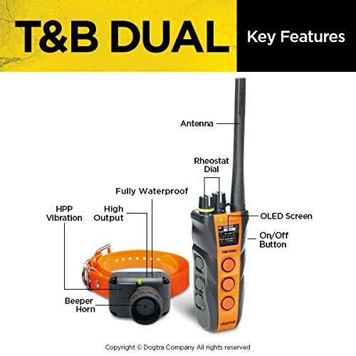 Dual Dog Training and Beeper Collar W49688