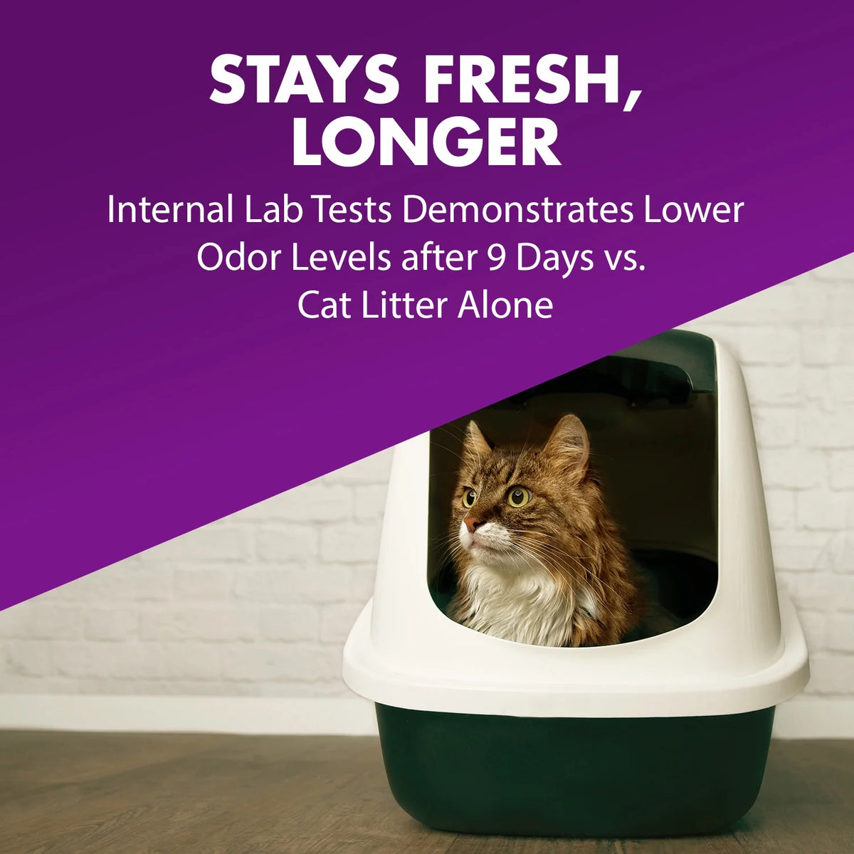 Cat Litter Deodorizer with Baking Soda, 30oz F485354