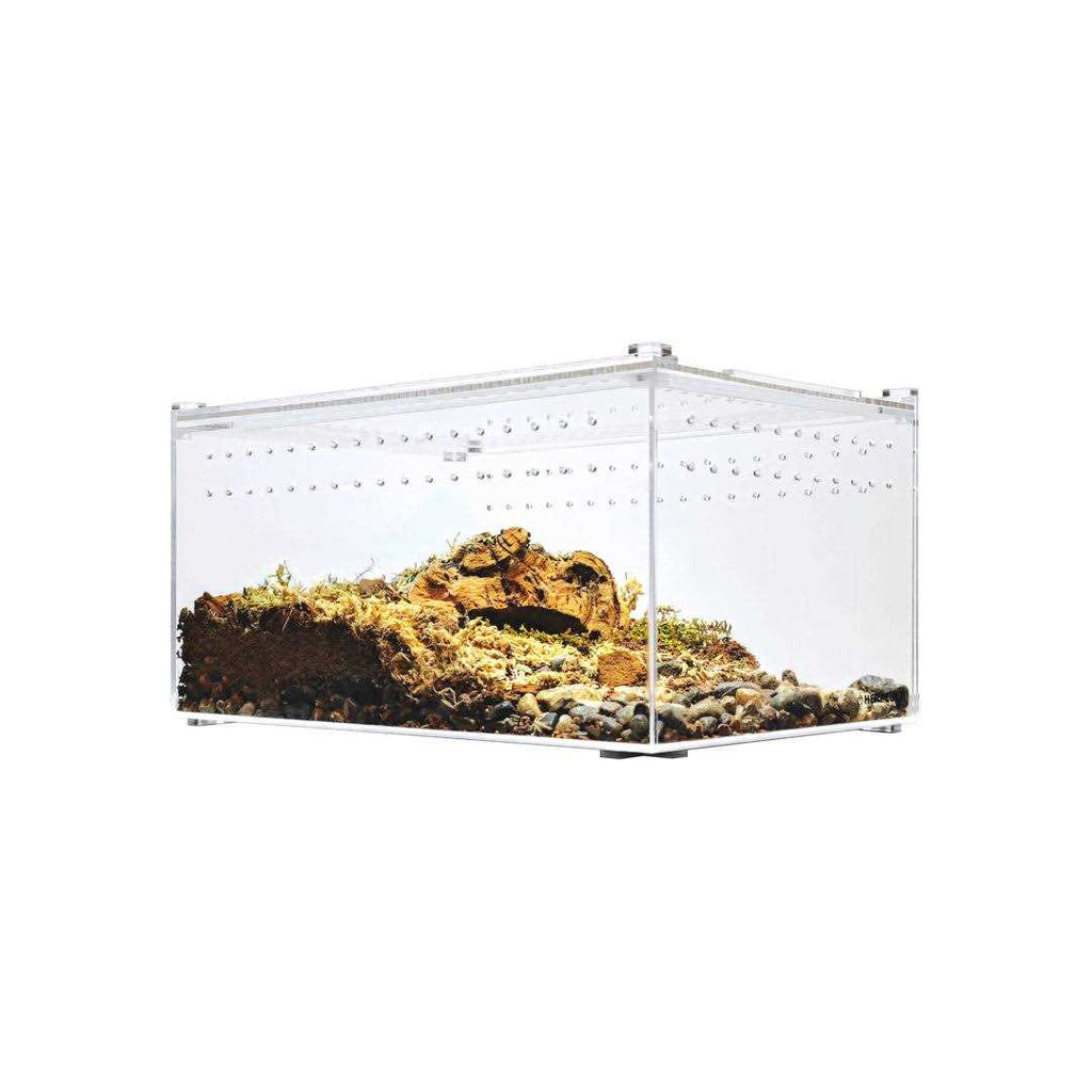 Acrylic Terrarium Q24955
