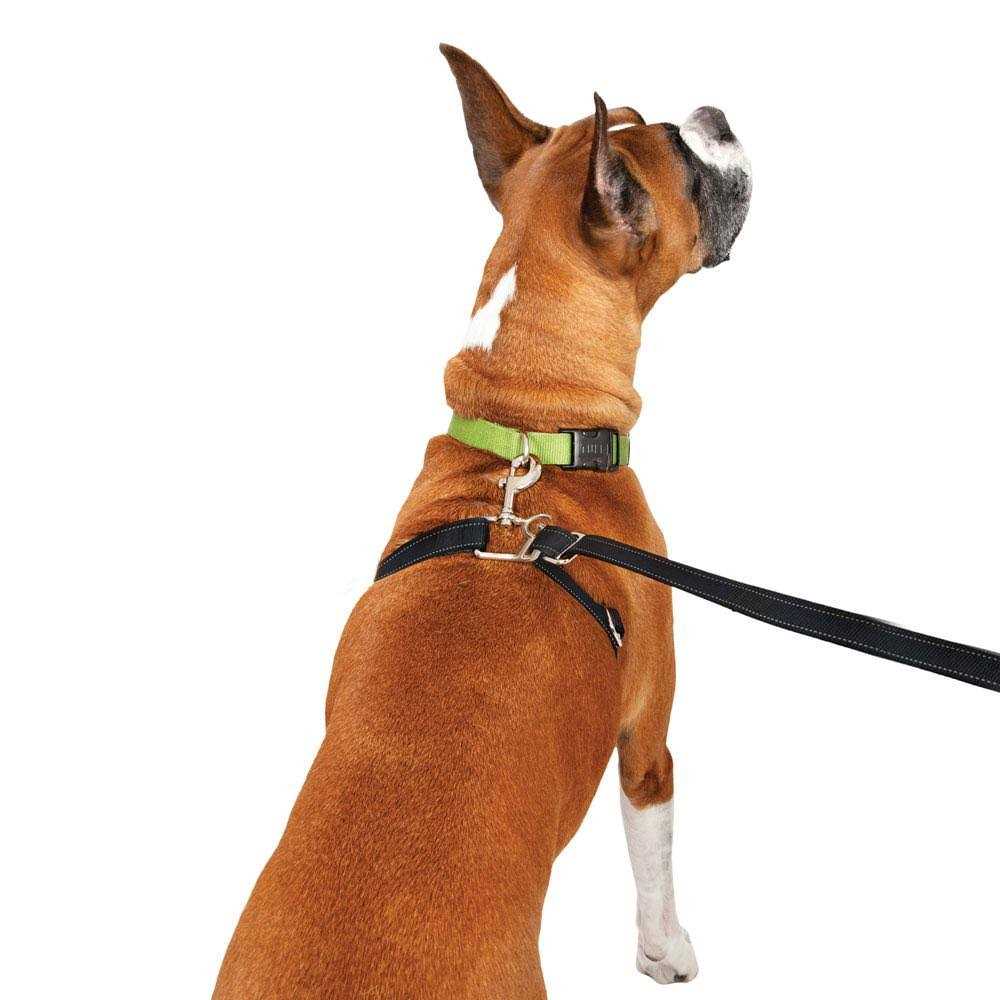 Retractable Dog Leash N42520