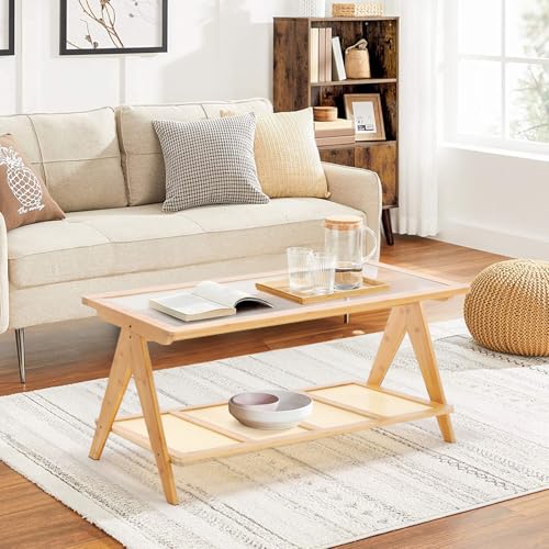 2-Tier Rattan Glass Coffee Table with Storage Shelf T97925