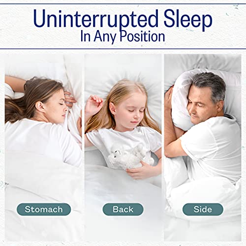 2 Pack King Cooling Gel Fiber Filled Pillow B247526