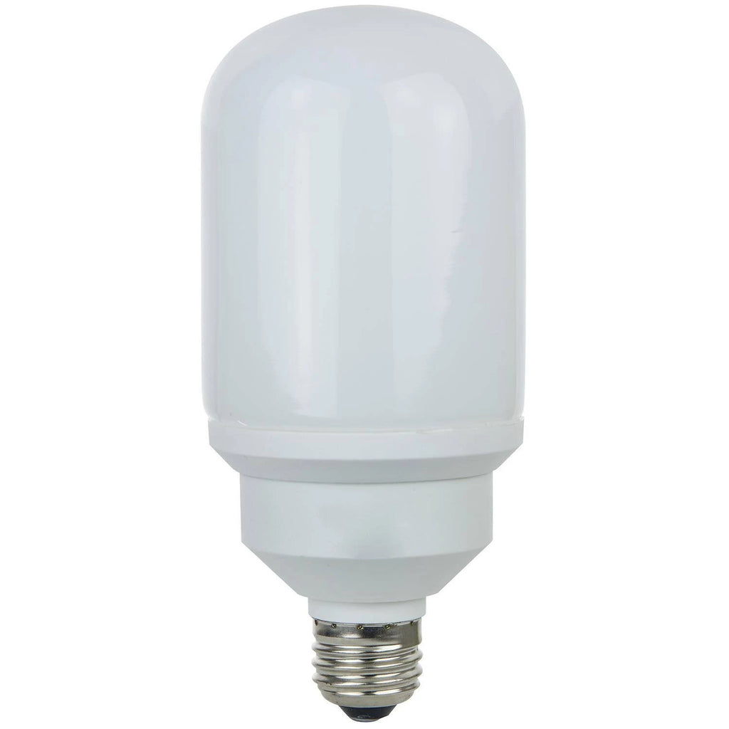 Compact Fluorescent Light Bulb S58562