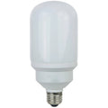 Compact Fluorescent Light Bulb S58562