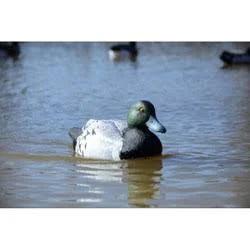 Battleship Swimmer 12 Volt Motion Bluebill Duck Decoy V102850