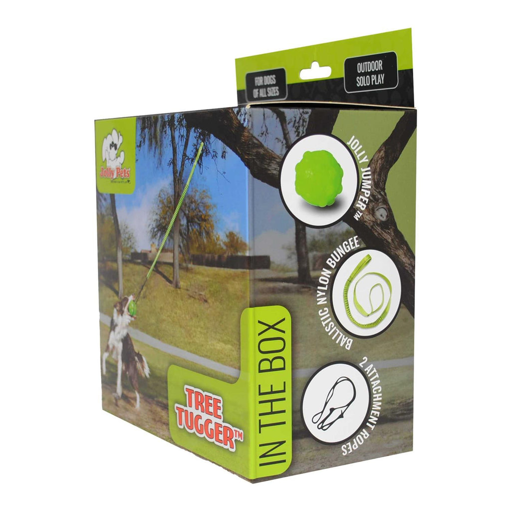 Dog Toy Y530849