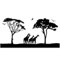 Animal Wall Decor T8126