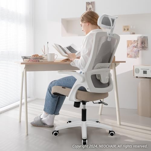 Black Ergonomic Mesh Office Chair with Lumbar Support U8129