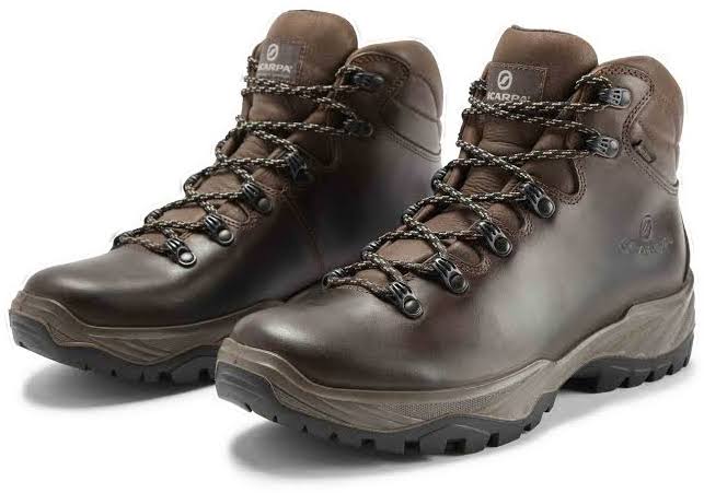 Brown Terra GTX Shoes J254
