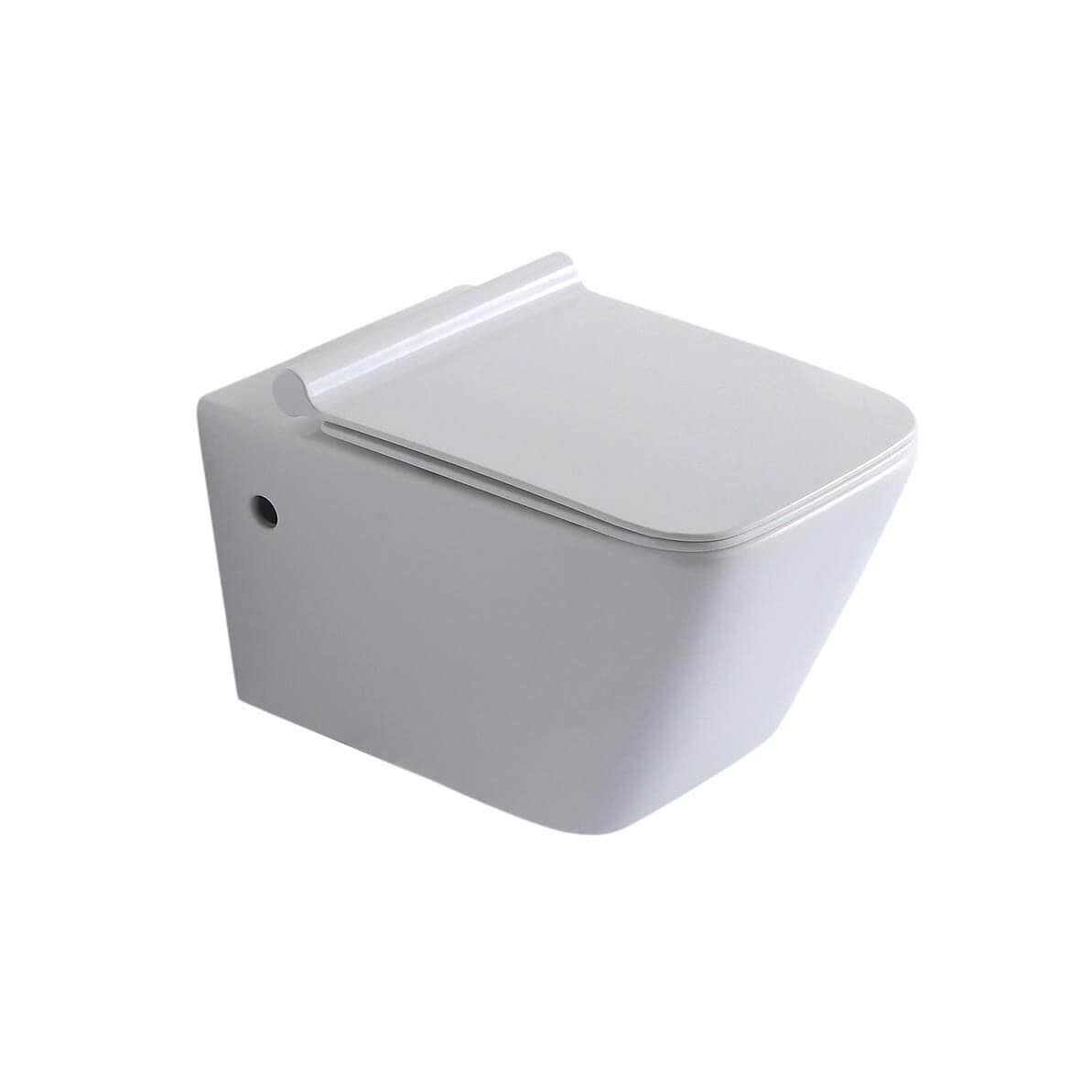 Wall Hung Toilet with Seat Q152