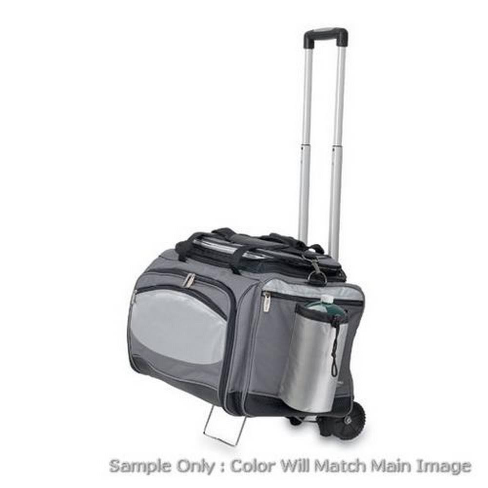 Vulcan Cooler and Propane Grill B769367