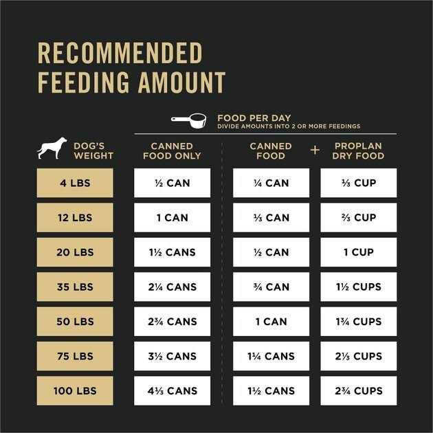 High Protein Wet Dog Food H953801