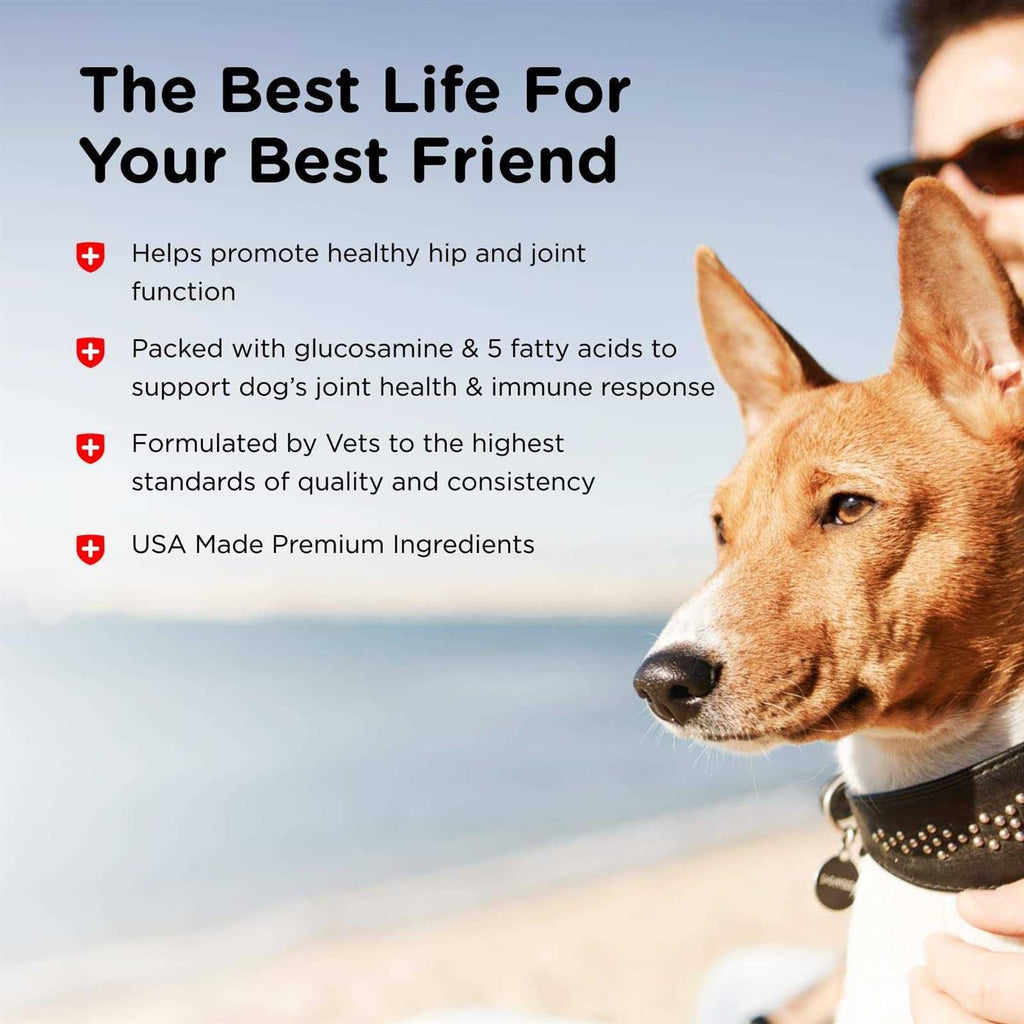 Joint Action Formula for Dogs X9176