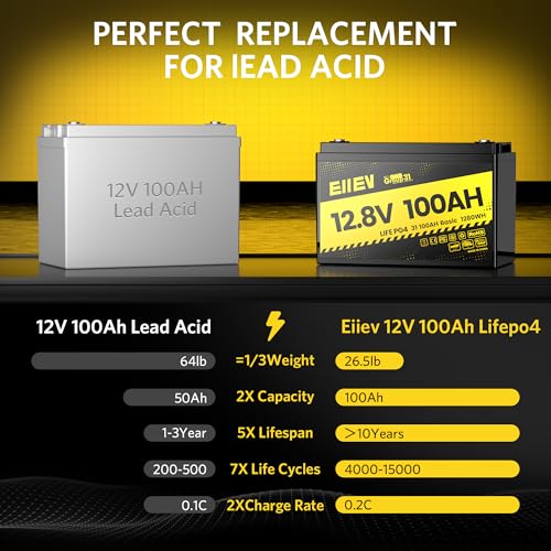 12V 100Ah LiFePO4 Battery with 100A BMS D3554