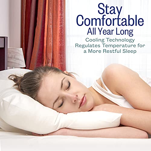 2 Pack King Cooling Gel Fiber Filled Pillow B247526