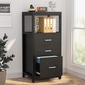 Black 3 Drawer Vertical File Cabinet with Metal Wire Storage Shelves X48241