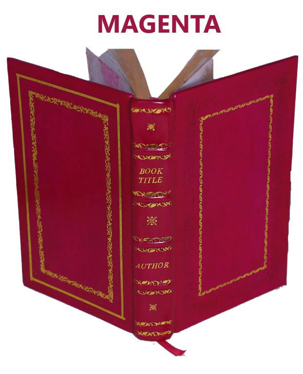 Premium Leather Bound P417