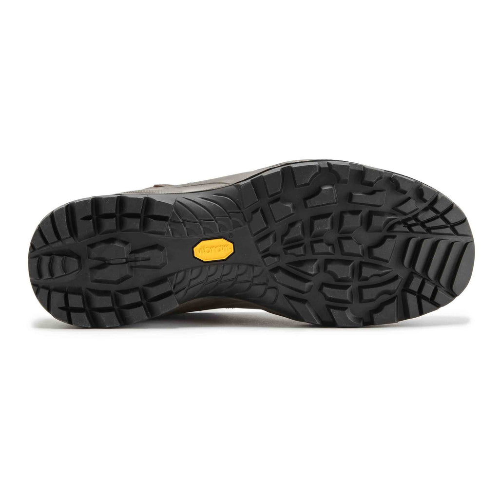 Brown Terra GTX Shoes J254