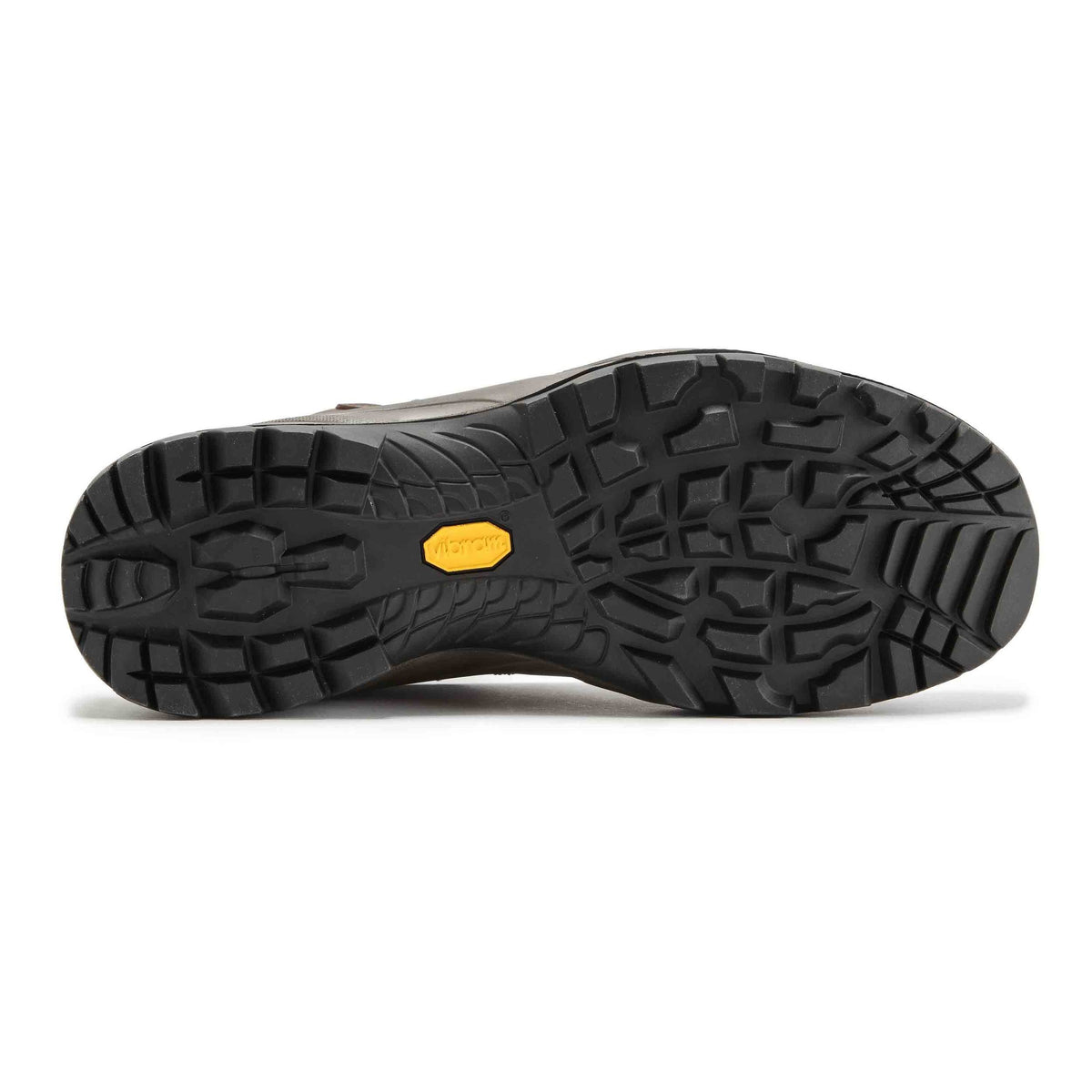 Brown Terra GTX Shoes J254