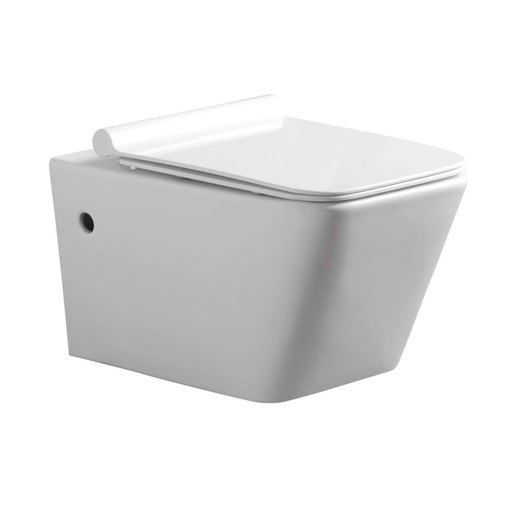 Wall Hung Toilet with Seat Q152