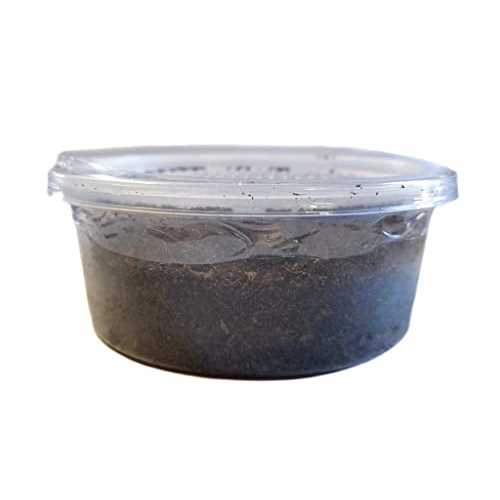 12 count Live Feed Reptile Food L166