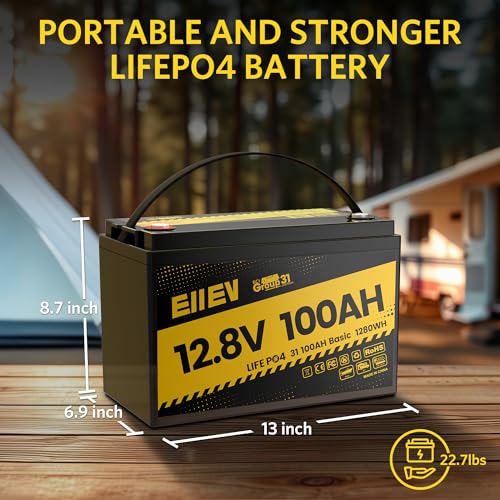 12V 100Ah LiFePO4 Battery with 100A BMS D3554