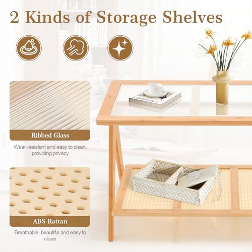 2-Tier Rattan Glass Coffee Table with Storage Shelf T97925
