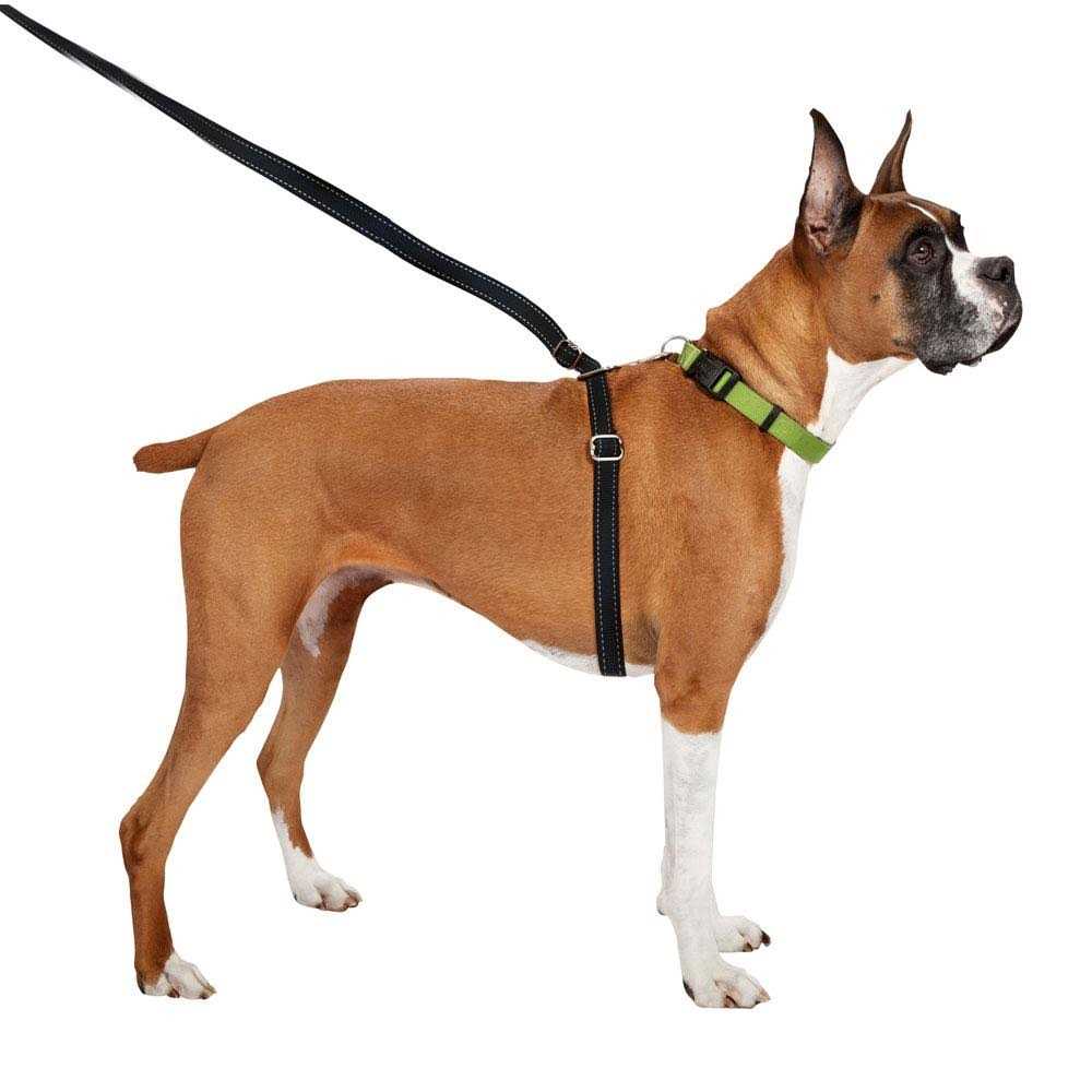 Retractable Dog Leash N42520