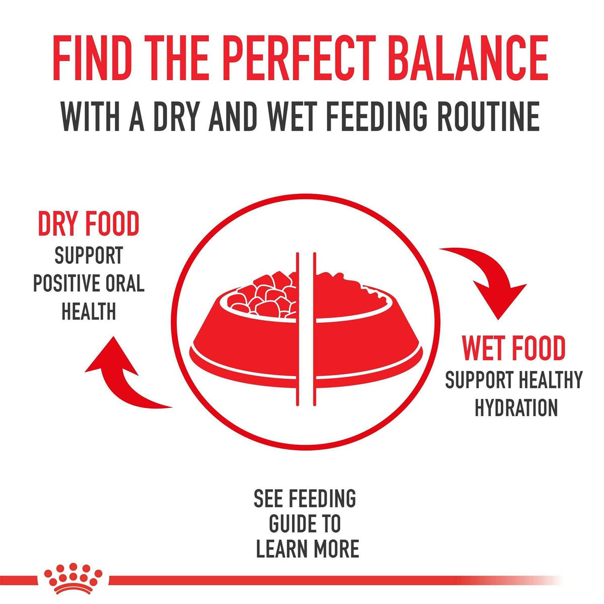 Medium Aging 10+ Dry Dog Food W8373