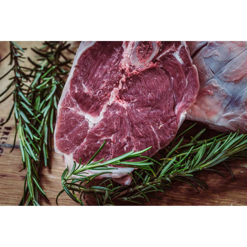 Grain-Free Venison Tripe Dry Dog Food G14917