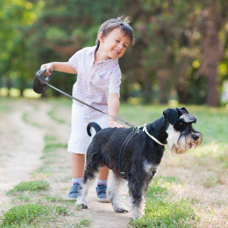Retractable Dog Leash N42520