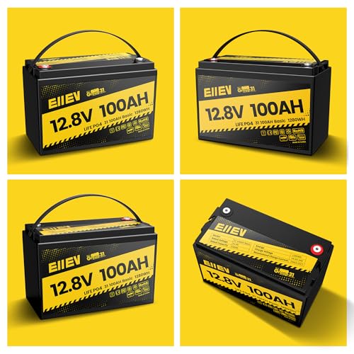 12V 100Ah LiFePO4 Battery with 100A BMS D3554