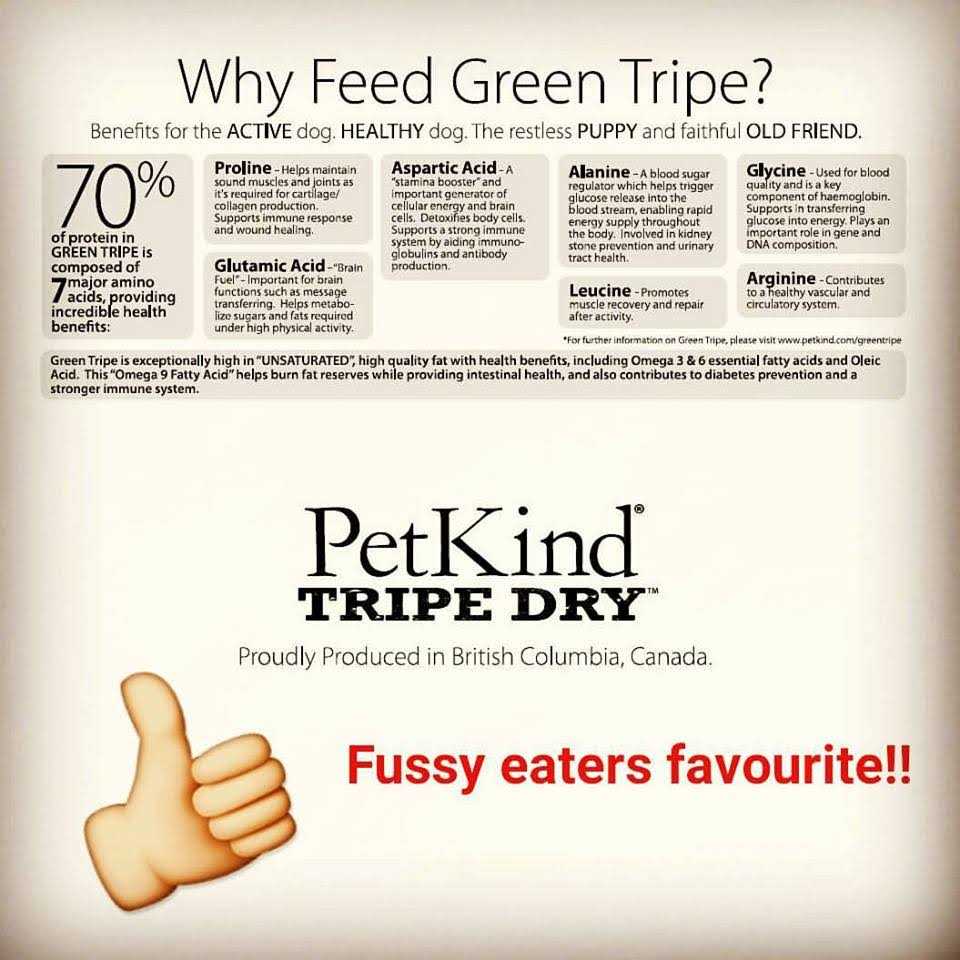 Grain-Free Venison Tripe Dry Dog Food G14917