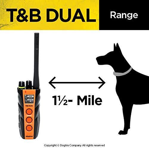 Dual Dog Training and Beeper Collar W49688