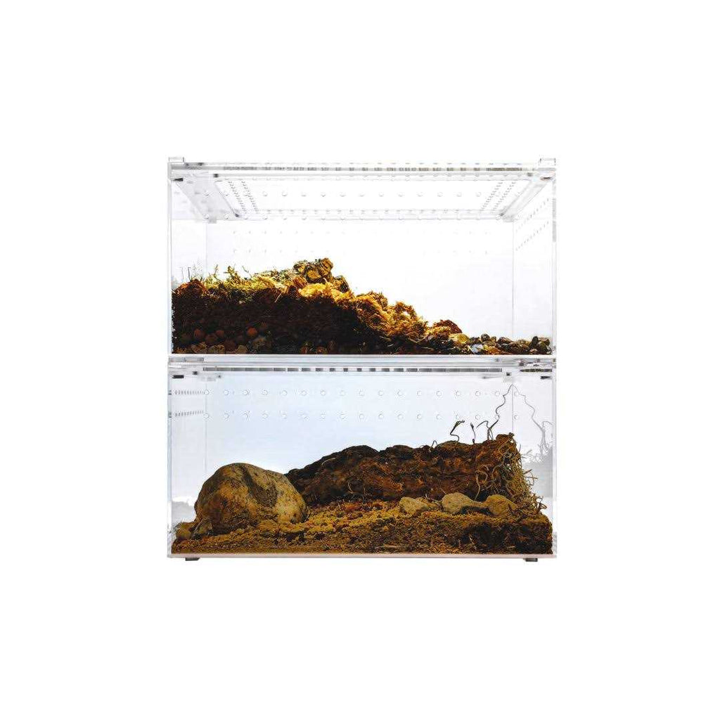 Acrylic Terrarium Q24955