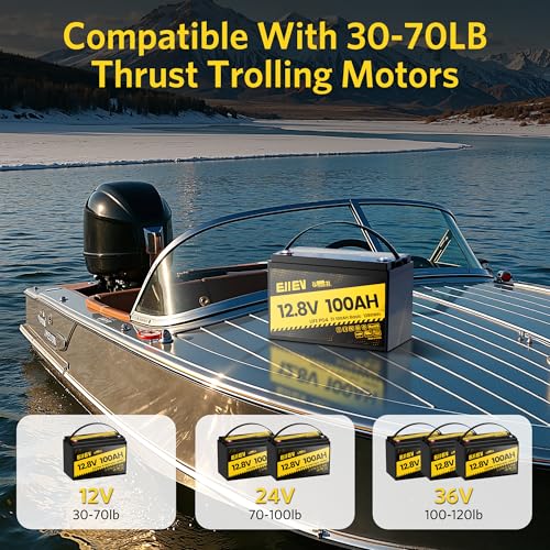 12V 100Ah LiFePO4 Battery with 100A BMS D3554