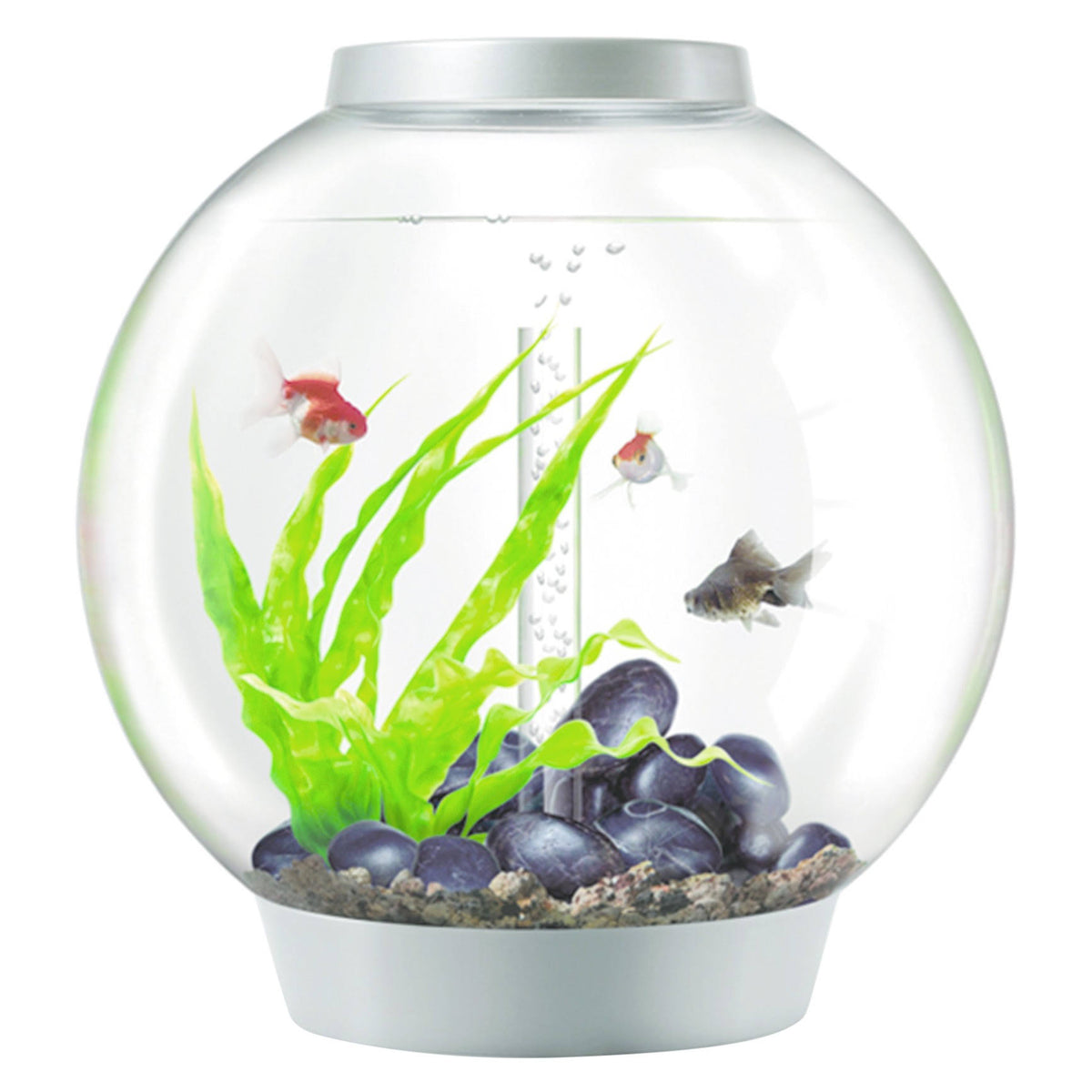 Classic 60 Aquarium with LED 16 Gallon Silver W303321